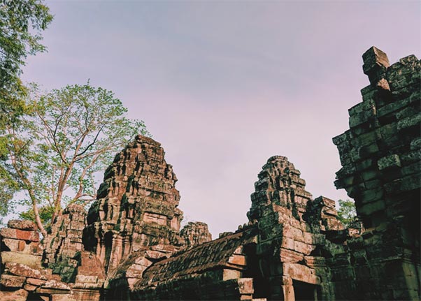 cambodian export,cambodian exports,cambodia's export