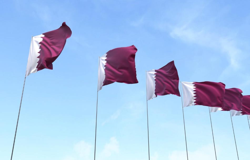 qatar import data,qatar import,import data