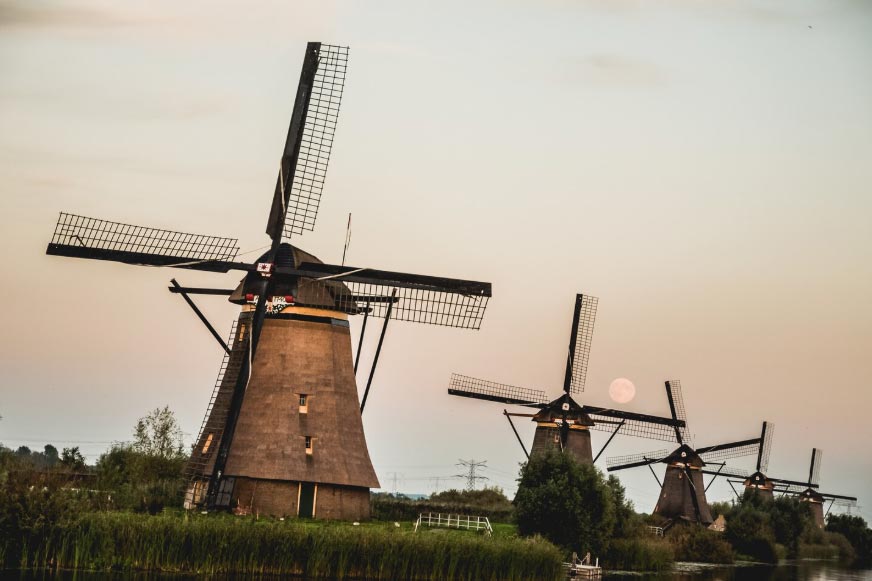 netherlands exporters,netherlands exporters data,the netherlands exporters data