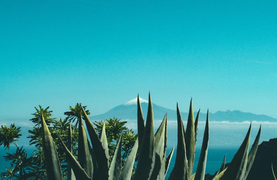 guatemala trade data,guatemala import data,guatemala export data