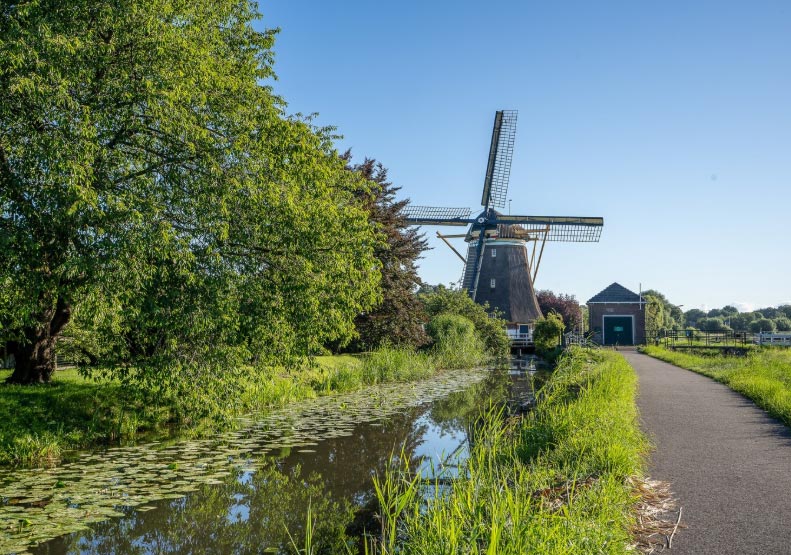 the netherlands import data,import data,netherlands import data