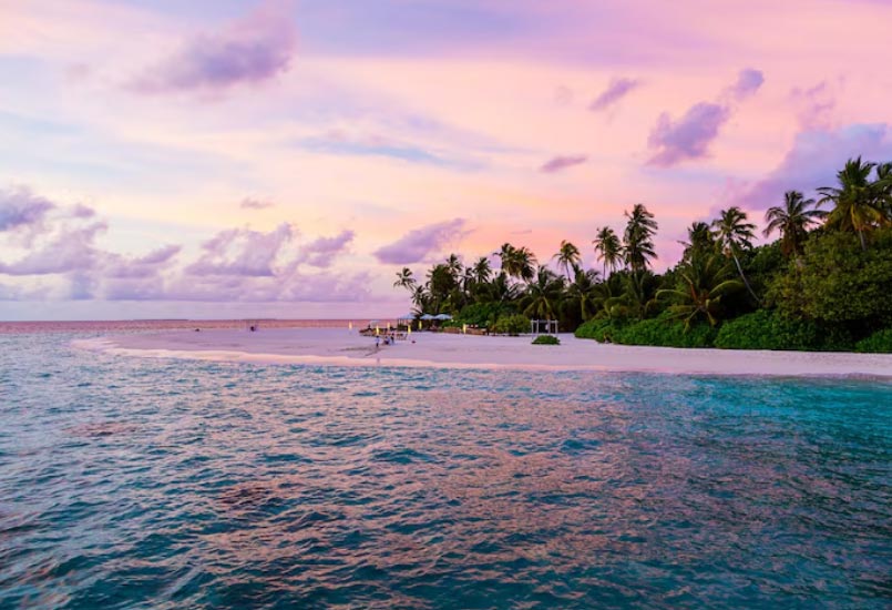 bahamas export data,export data,bahamas export bahamas export data,export data,bahamas export