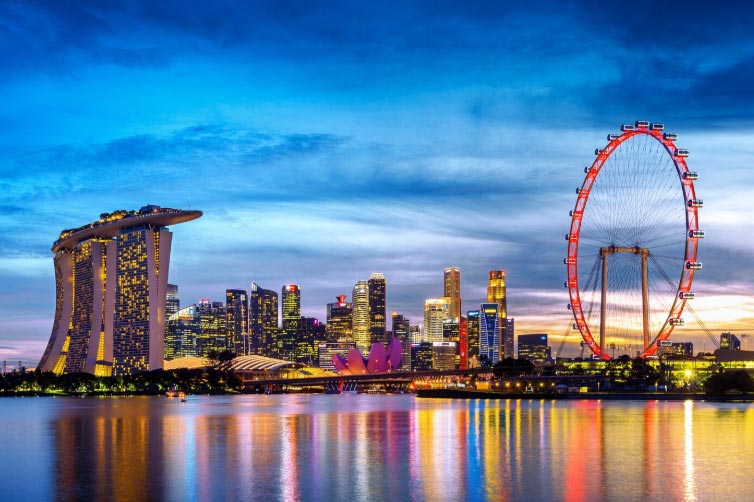 singapore import,singapore import data,import data