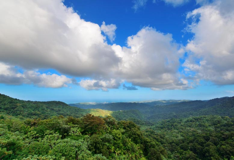 honduras importers,honduras import,honduras importer honduras importers,honduras import,honduras importer