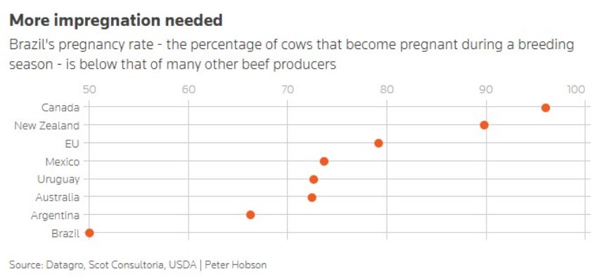 brazil export,brazil beef export brazil export,brazil beef export