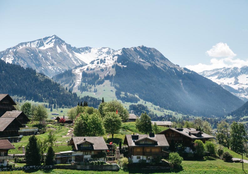 austria's import,austria's imports,austria import