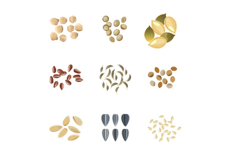 export seeds,export seed,global export seeds