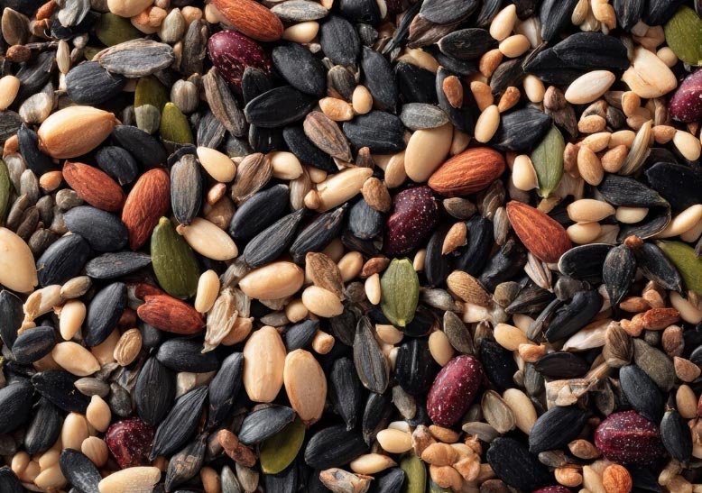 export seeds,export seed,exporting seeds
