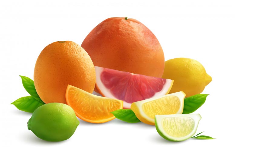 citrus importers,citrus importer,citrus import