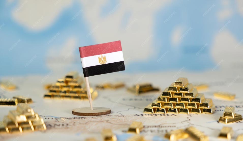 egypt importers, egypt import,egypt importing