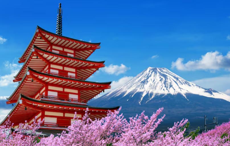 japanese import, japanese imports, japanese imports data japanese import, japanese imports, japanese imports data