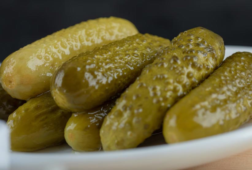 pickles export,pickles exports,pickles exporters pickles export,pickles exports,pickles exporters