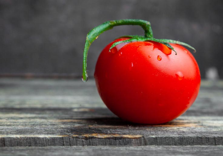 tomatoes export,tomatoes exports,global tomatoes exports