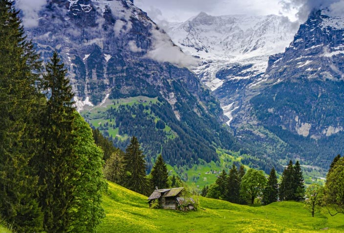 switzerland exports, switzerland export, switzerland exports market switzerland exports, switzerland export, switzerland exports market