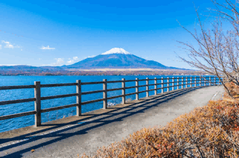Japan's Prime Export Destinations: Navigating Global Trade Networks