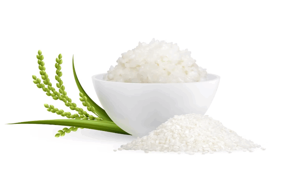 After India Bans Rice Exports, Who Will Become the World's Largest Exporter of Rice?
