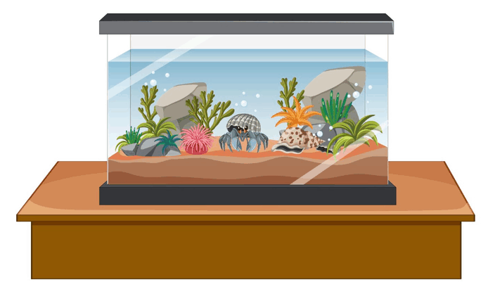 Which Country Imports the Most Aquariums?