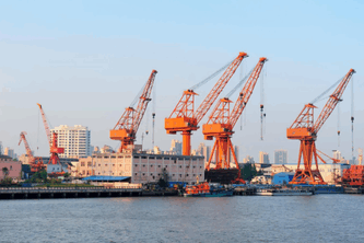 What Is the Role of the Customs Data Provided by Tendata?