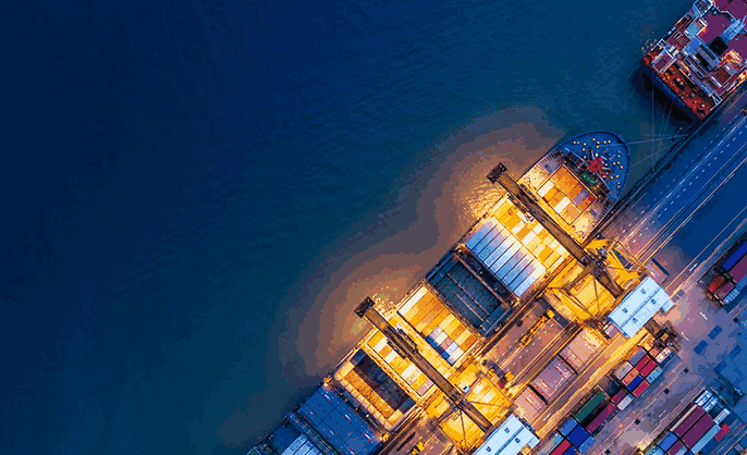 How to use import export data? Remember these tips!!