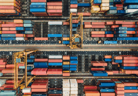 What is the Best Global Trade Database? An Overview of Tendata