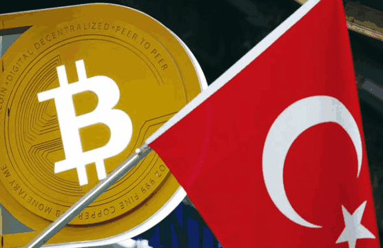 The Best Choice to Import from Turkey - Tendata Database