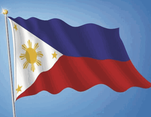 THE BEST PRODUCT TO IMPORT FROM PHILIPPINES —— Tendata Database