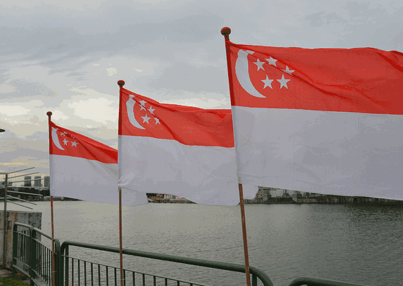 How to Find Buyers in Singapore — Tendata Database