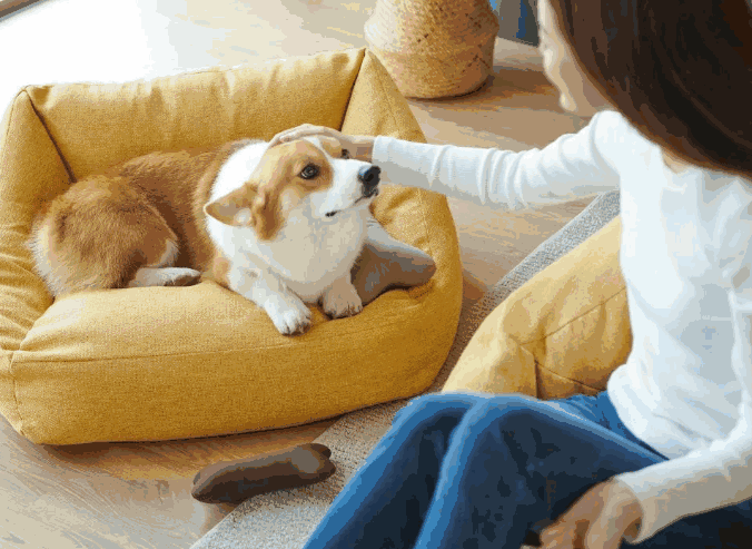Top Pet Products Export-Imports by Country - Tendata Database