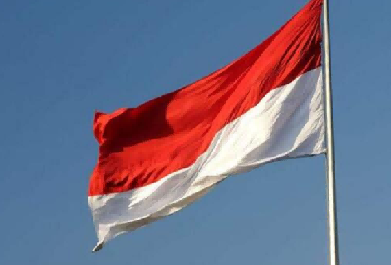 Indonesia's Export Data: An Overview - Tendata Database