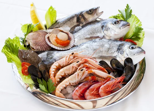 How to Import Seafood from Japan - Tendata Database