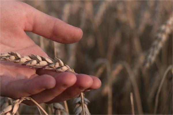 Popular Import Products in Russia | Import Business | Tendata
