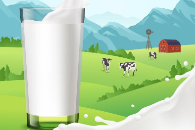 Leading Milk Exporters by Country & Company in 2024 | Tendata