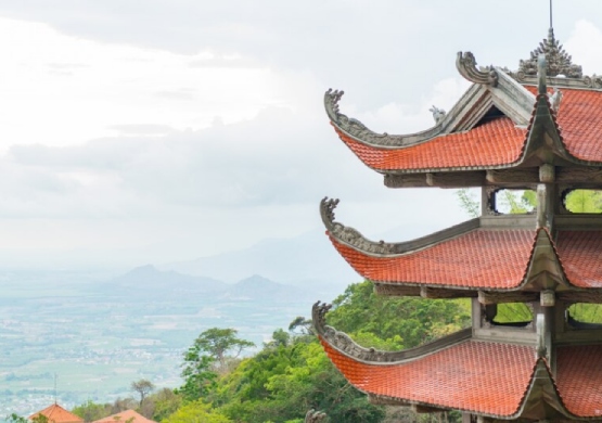Vietnam Trade Data in 2024 | Import Export Data | Tendata