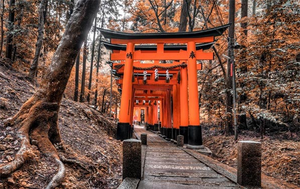Japan Importers Data & Companies List in 2024 | Japan Buyers & Trade Data - Tendata