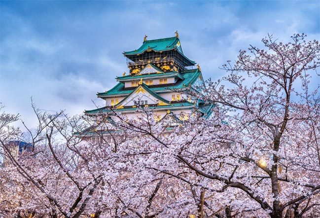 japan export database,japan export,japan export data