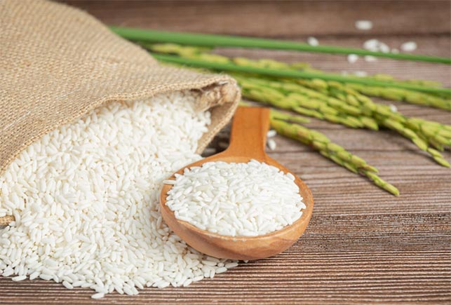 Who is The Largest Rice Exporter in World ？- Tendata