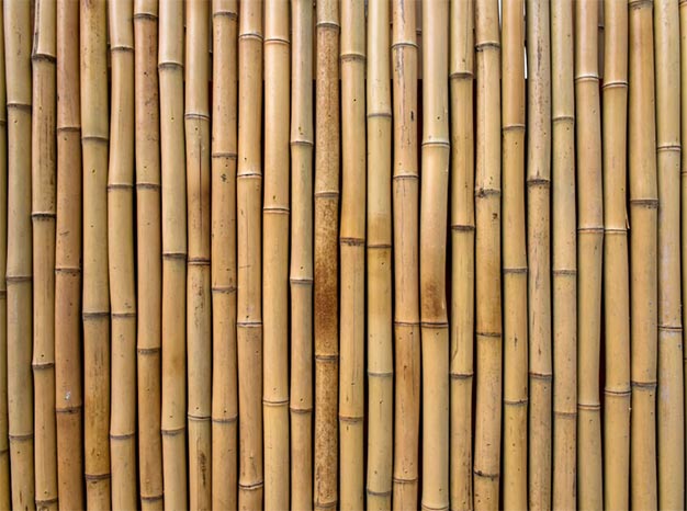 bamboo import data,global bamboo import data,bamboo import
