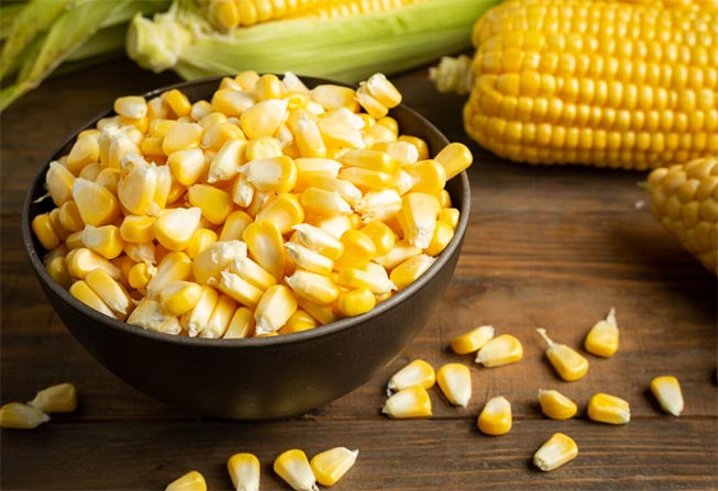 Global Corn Import by Country & Company Overview (2024) - Tendata