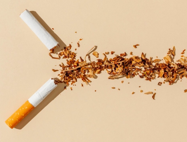 Global Tobacco Export Trends | Top Tobacco Exporters in 2024 | Tendata