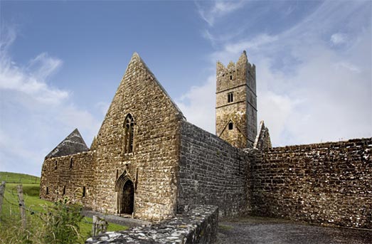 Republic of Ireland Import Data | Ireland Trade Data - Tendata